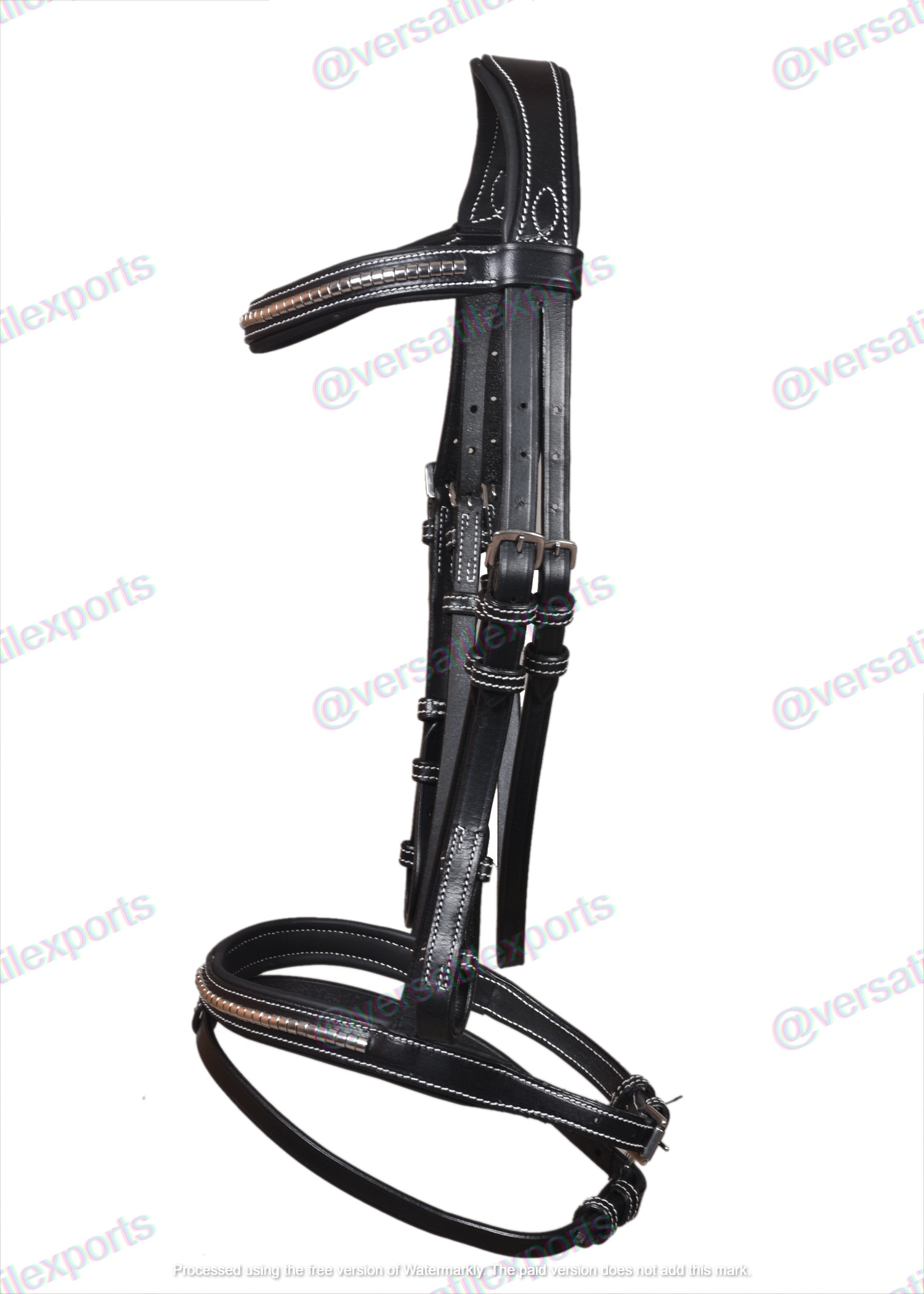 Bridle with Clinches